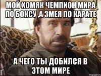 МОЙ ХОМЯК ЧЕМПИОН МИРА ПО БОКСУ ,А ЗМЕЯ ПО КАРАТЕ А ЧЕГО ТЫ ДОБИЛСЯ В ЭТОМ МИРЕ