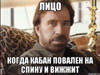 лицо когда кабан повален на спину и вижжит