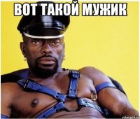 ВОТ ТАКОЙ МУЖИК 