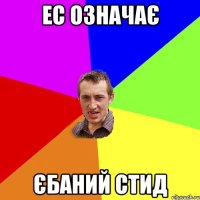 ЕС означає Єбаний Стид