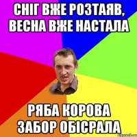 Сніг вже розтаяв, весна вже настала ряба корова забор обісрала