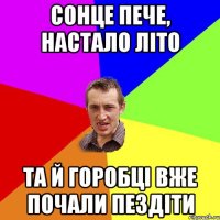 Сонце пече, настало літо Та й горобці вже почали пездіти