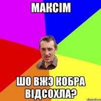 Максiм Шо вжэ кобра вiдсохла?