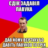 єдік задавіл павука дав йому вєртуху бо давіть павуков то гріх