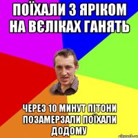 Поїхали з Яріком на вєліках ганять через 10 минут пітони позамерзали поїхали додому