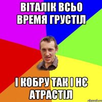 ВІТАЛІК ВСЬО ВРЕМЯ ГРУСТІЛ І КОБРУ ТАК І НЄ АТРАСТІЛ