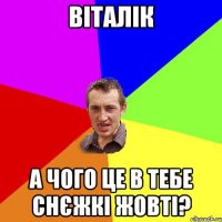 ВІТАЛІК А ЧОГО ЦЕ В ТЕБЕ СНЄЖКІ ЖОВТІ?