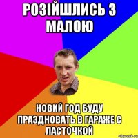 Розійшлись з малою новий год буду праздновать в гараже с ласточкой