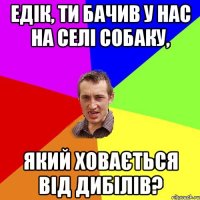 едік, ти бачив у нас на селі собаку, який ховається від дибілів?