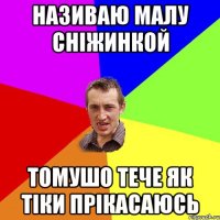 НАЗИВАЮ МАЛУ СНІЖИНКОЙ ТОМУШО ТЕЧЕ ЯК ТІКИ ПРІКАСАЮСЬ