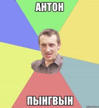 Антон Пынгвын