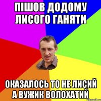 Пішов додому лисого ганяти оказалось то не лисий а вужик волохатий