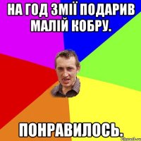 на год змії подарив малій кобру. понравилось.