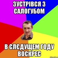 зустрівся з салогубом в слєдущем году воскрес