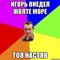 игорь виедел жолте море тоя настяв