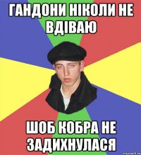 гандони ніколи не вдіваю шоб кобра не задихнулася