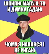 шпилю малу я, та й думку гадаю чому я напився і не ригаю