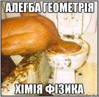 Алегба Геометрія Хімія Фізика