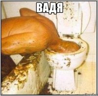 вадя 