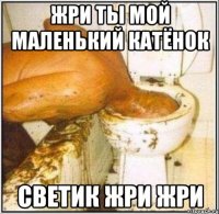 Жри ты мой маленький катёнок Светик жри жри