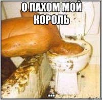 О ПАХОМ МОЙ КОРОЛь ...
