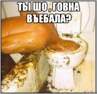 Ты шо , говна въебала? 