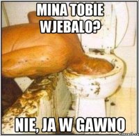 mina tobie wjebalo? nie, ja w gawno