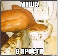 миша в ярости