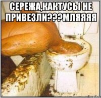 Сережа,кактусы не привезли???мляяяя 