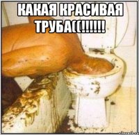 какая красивая труба((!!!!!! 