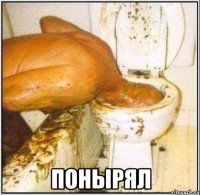  Понырял