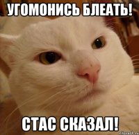 Угомонись блеать! Стас сказал!