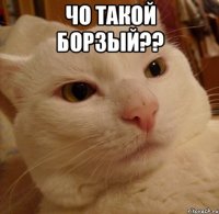 Чо такой БОРЗЫЙ?? 