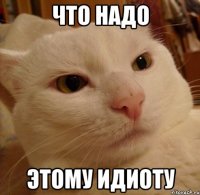 что надо этому идиоту