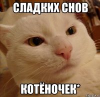 Сладких снов котёночек*