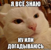 я всё знаю ну или догадываюсь