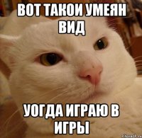 вот такои умеян вид уогда играю в игры