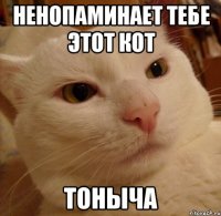 ненопаминает тебе этот кот тоныча