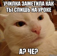 училка заметила как ты спишь на уроке а? че?