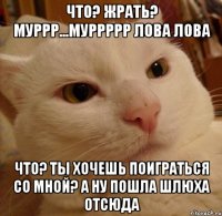 Что? Жрать? Муррр...муррррр лова лова Что? Ты хочешь поиграться со мной? А ну пошла шлюха отсюда