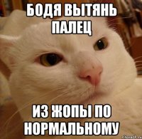 Бодя вытянь палец из жопы по нормальному