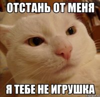 Отстань от меня Я тебе не игрушка