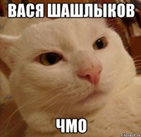 Вася шашлыков Чмо