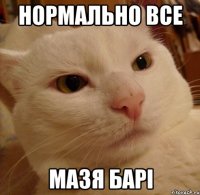 Нормально все мазя барi
