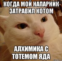 когда мой напарник затравил котом алхимика с тотемом яда