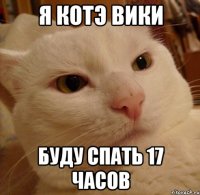 Я КОТЭ ВИКИ БУДУ СПАТЬ 17 ЧАСОВ