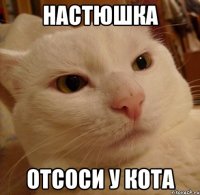 Настюшка отсоси у кота