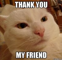 THANK YOU MY FRIEND