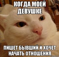 Когда моей девушке пишет бывший и хочет начать отношения