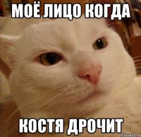 Моё лицо когда Костя дрочит